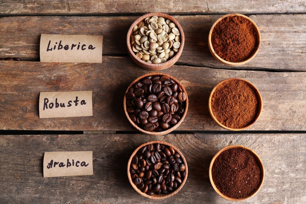 3 types of coffee beans - Liberica, Robusta and Arabica.